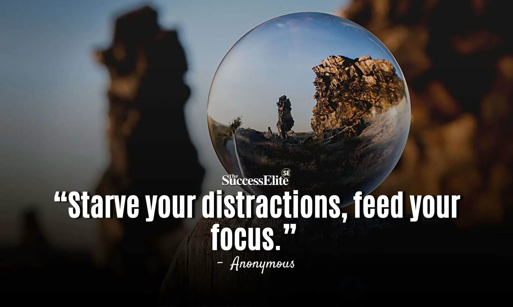 Feed Your Focus: Don't Allow Your Distractions to Destroy Your Destiny ~ Far too many people allow distractions to destroy their destinies. Feed Your Focus & Starve Your Distractions!